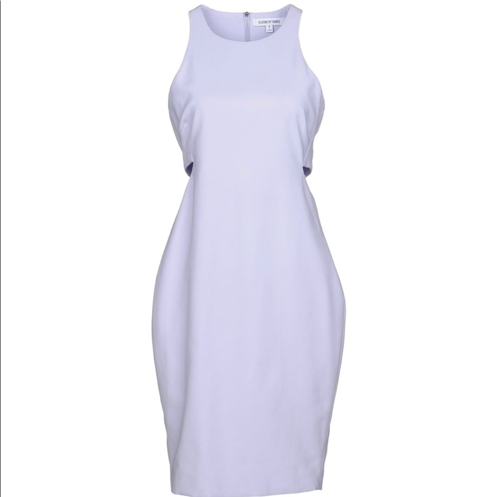 Elizabeth and James Sleeveless Slit Dress